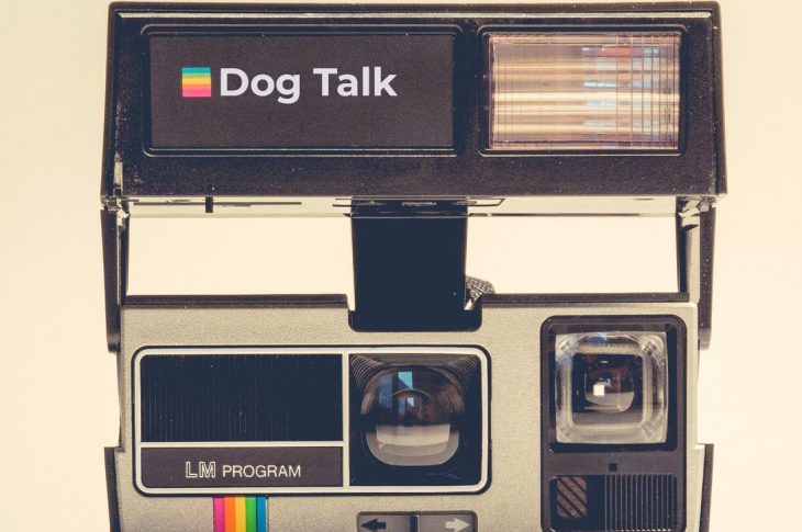 Dog Talk Slippery Slope Cover Art - Instant Camera