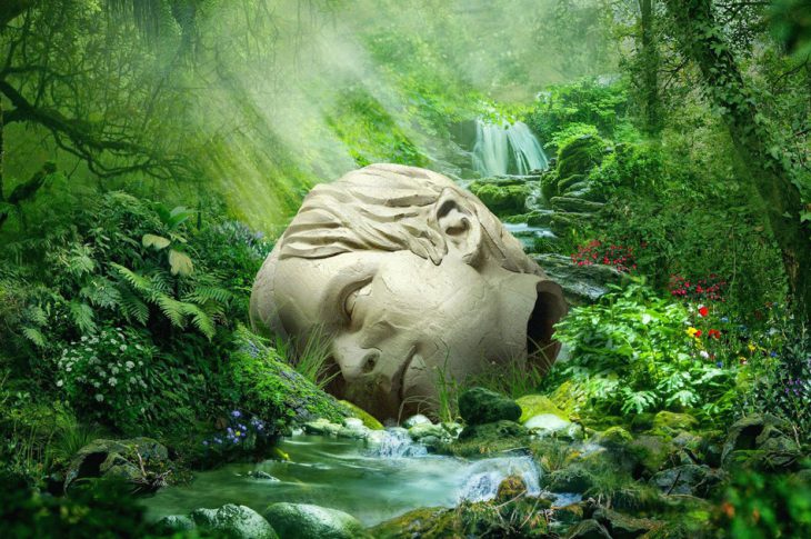 image of stone head of Rivers Cuomo lying in a lush green forest